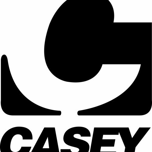 C.A.S.E.Y’s avatar