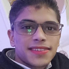 shagy amin