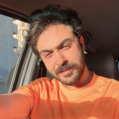 Amr Kapoo