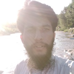 Annas Saleem