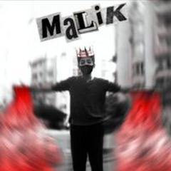 Malek Shukry
