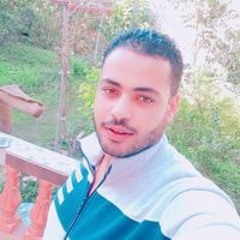 Hussein Gamal Elgaml