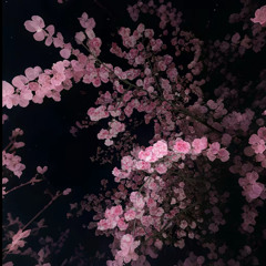 ハッピー
