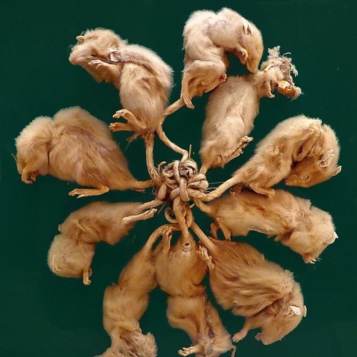 Like Falling Leaves 278bpm