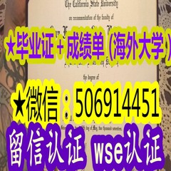英德法意等大学university dip·loma 证·书university dip·loma
