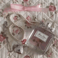 ˖ . ݁𝜗𝜚. ݁₊