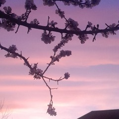 Dude with eyeglasses