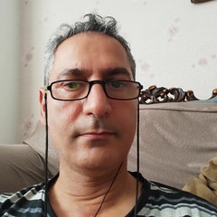 mohammad hosseinvand