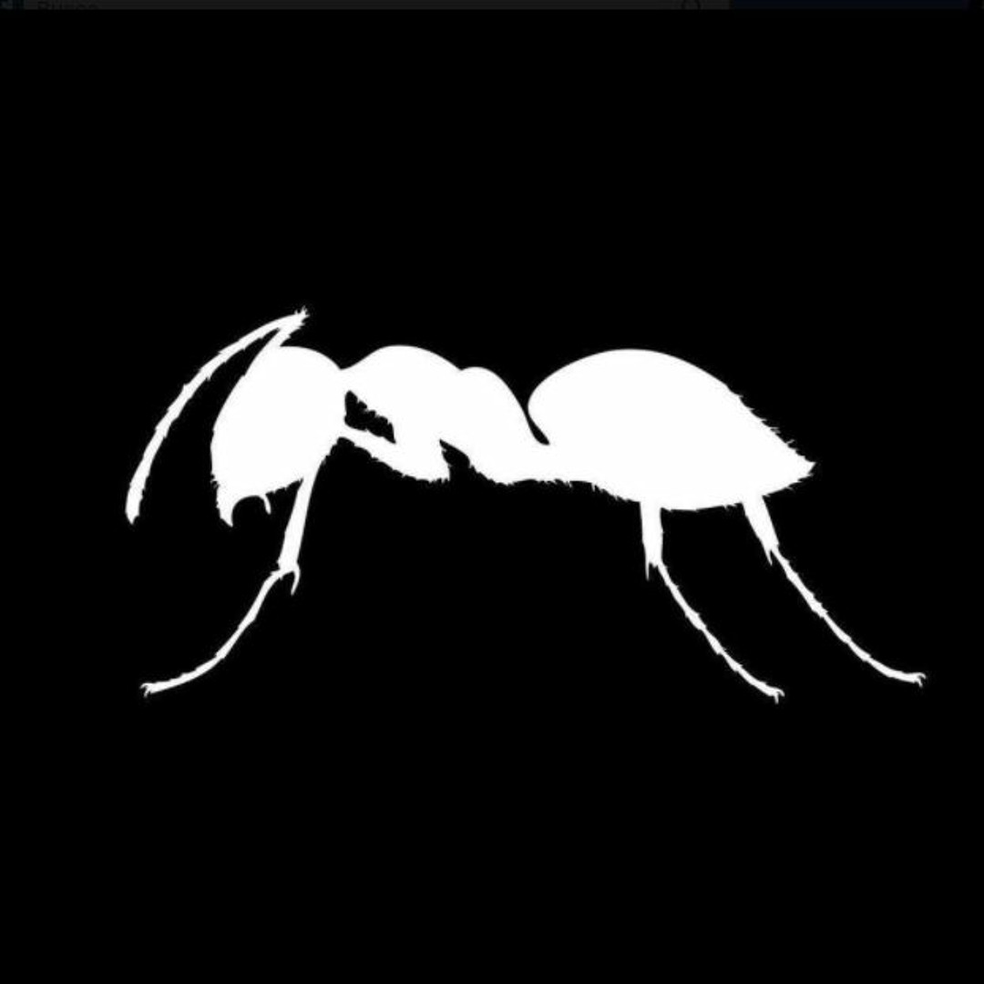 UNITEDANTS’s avatar