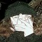 ☆ tombfell ☆