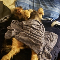 sleep
