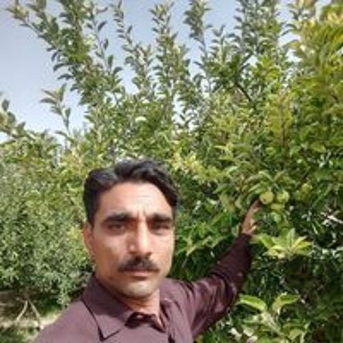 Ghulam Mustafa’s avatar