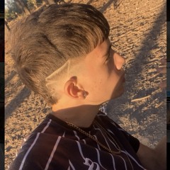 srgiio.jmnzz207