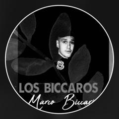 Marco Biccari PREMIÈRE Artist