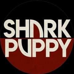 Shark Puppy