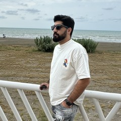shahab mohammadian