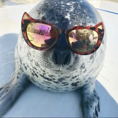 wawawawawa