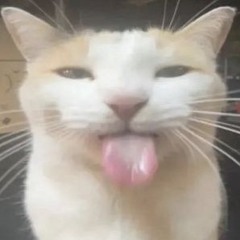 riezkawai