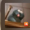 its ry/@sheeeesh