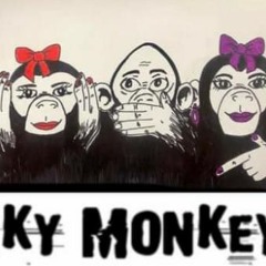 JuNky MoNkEy SessionS