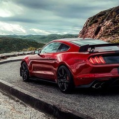 Mustang_Ar