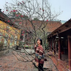 thúy cui