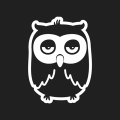 Nocturnal Owl
