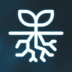 Dark Roots Records