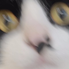 빼빼로