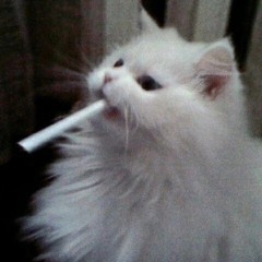 moodinglfy^_^