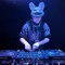 DR. DARK RABBIT