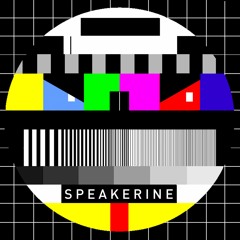 Speakerineband