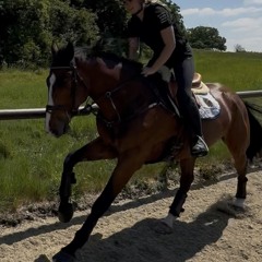 georgia newby vincent