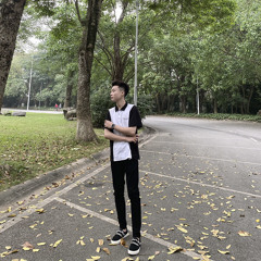 Panda🐼