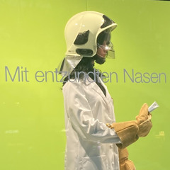 sarinaccm