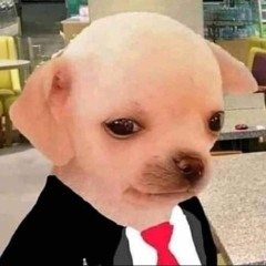 dog_agiota