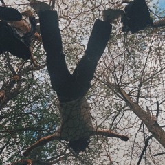 WW002
