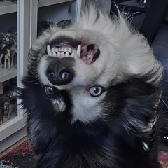 лин