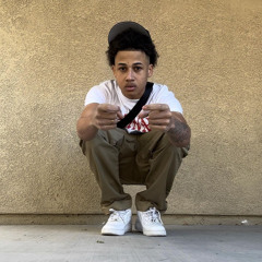 HR coop (ft) HR bin lucci