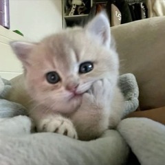 my name xanacloudy