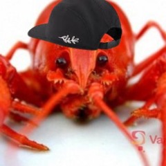 L.I.L Langusta