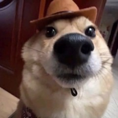 lilkookie