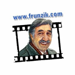 frunzik.com