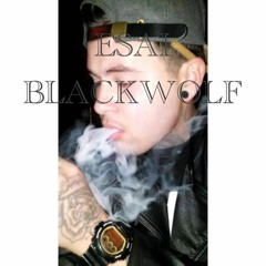 ESAI BlackWoLF