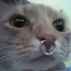 Pasu