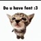 Fasz