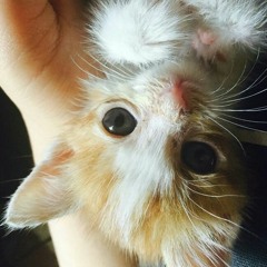 ㅎㅎ