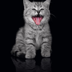 eshkaa