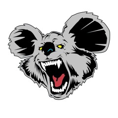 MAD KOALA 🐨
