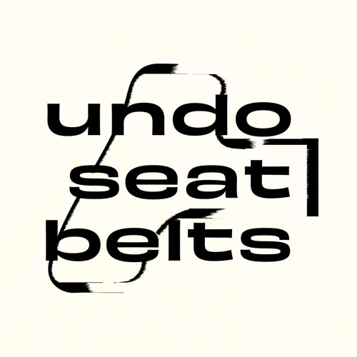 undo seat belts’s avatar